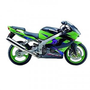 2002-2003 Kawasaki ZX9R Verkleidung