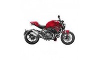 2008-2012 Ducati Monster 1100 Verkleidung