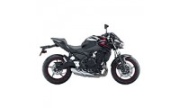 2020-2023 Kawasaki Z650 Verkleidung