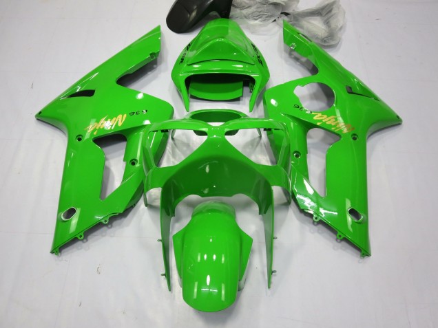 2003-2004 Grüner Ninja Kawasaki ZX6R Motorrad Verkleidungen