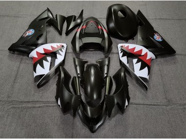 2004-2005 Matt Schwarzer Betty Bomber Kawasaki ZX10R Motorrad Verkleidungen