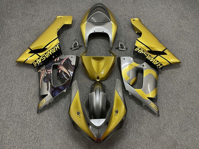 2005-2006 Gold & Silber Kawasaki ZX6R Motorrad Verkleidungen 2005-2006 Gold & Silber Kawasaki ZX6R Motorrad Verkleidungen