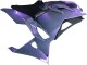 Kawasaki Ninja 500 EX500R Motorrad Verkleidung 2024-2025 - Chameleon Grau Dazz Perl Lila