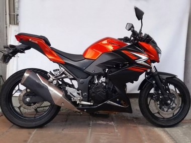 Kawasaki Z250/Z300 Motorrad Verkleidung 2015-2016 - Orange Rot Matt Schwarz