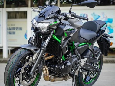 Kawasaki Ninja Z650 Motorrad Verkleidung 2020-2023 - Schwarz Grun