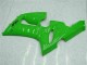 Kawasaki ZX6R Motorrad Verkleidung 2005-2006 - Grun