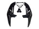 Honda CBR900RR 919 Motorrad Verkleidung 1998-1999 - Glanzendes Schwarz Weiss Aufkleber