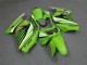 Kawasaki EX250 Motorrad Verkleidung 2008-2012 - Grun Weiss Schwarz