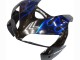 Honda CBR600RR Motorrad Verkleidung 2005-2006 - Glanzendes Schwarz Blau Flamme