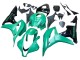 Honda CBR600RR Motorrad Verkleidung 2007-2008 - Grun Glanzendes Schwarz