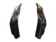 Kawasaki ZX10R Motorrad Verkleidung 2021-2025 - Grun Schwarz Rot