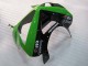 Kawasaki ZX6R Motorrad Verkleidung 2003-2004 - Grun Schwarz Elf Bridgestone