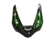 Kawasaki ZX6R Motorrad Verkleidung 2005-2006 - Glanzendes Schwarz Grun Flamme