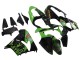 Kawasaki ZX9R Motorrad Verkleidung 2000-2001 - Grun Schwarz Playboy Denso