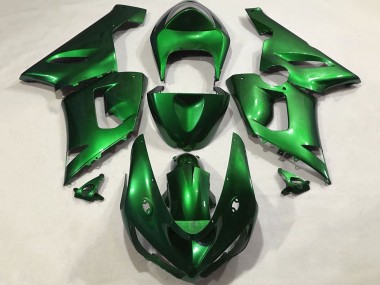 Kawasaki ZX6R Motorrad Verkleidung 2005-2006 - Bonbon Grun