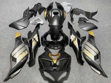Kawasaki ZX4R ZX-4RR Motorrad Verkleidung 2019-2025 - Matt Schwarz Glanzendes Schwarz Grau Gold